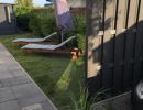 garten01